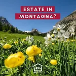 Lägenhet Cianfuran Panorama - Affitti Brevi Italia Bardonecchia